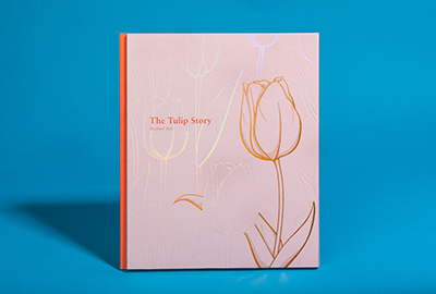 The Tulip Story-color